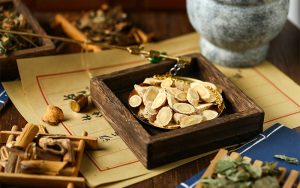 TCM physician weighing astragalus root slices on traditional scale.