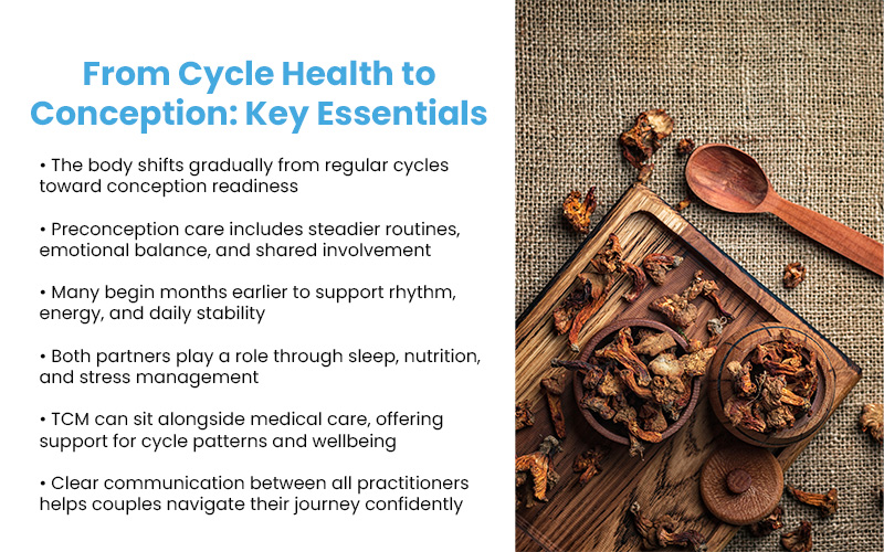 Dried herbs and wooden spoon beside text listing key essentials for cycle health and conception.