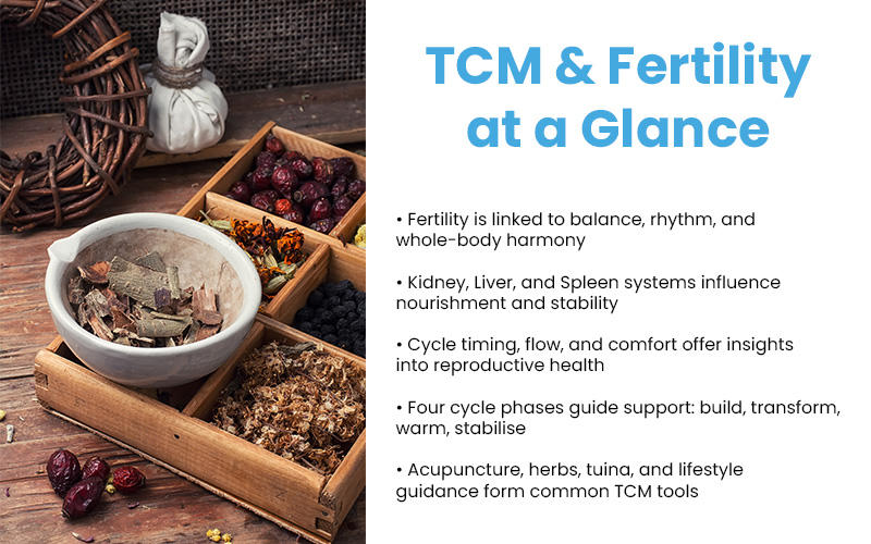 Wooden tray with herbs and dried fruits beside white bowl and pouch, illustrating TCM fertility concepts.