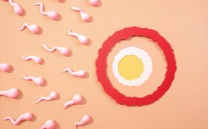 Stylized paper art of sperm moving toward an egg.