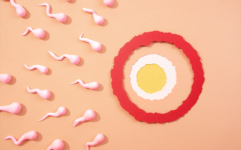 Stylized paper art of sperm moving toward an egg.